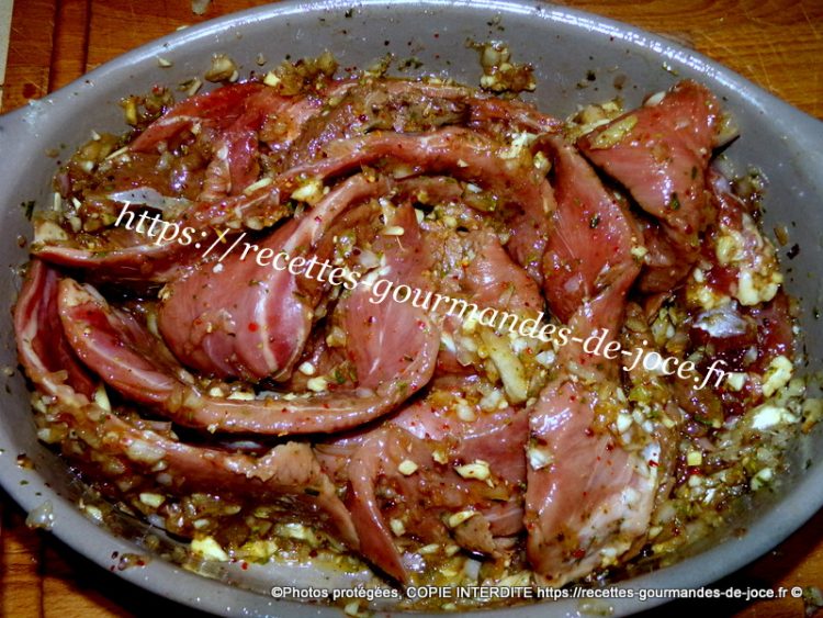 Aiguillettes de canard marinées à la moutarde à la plancha. – Recettes