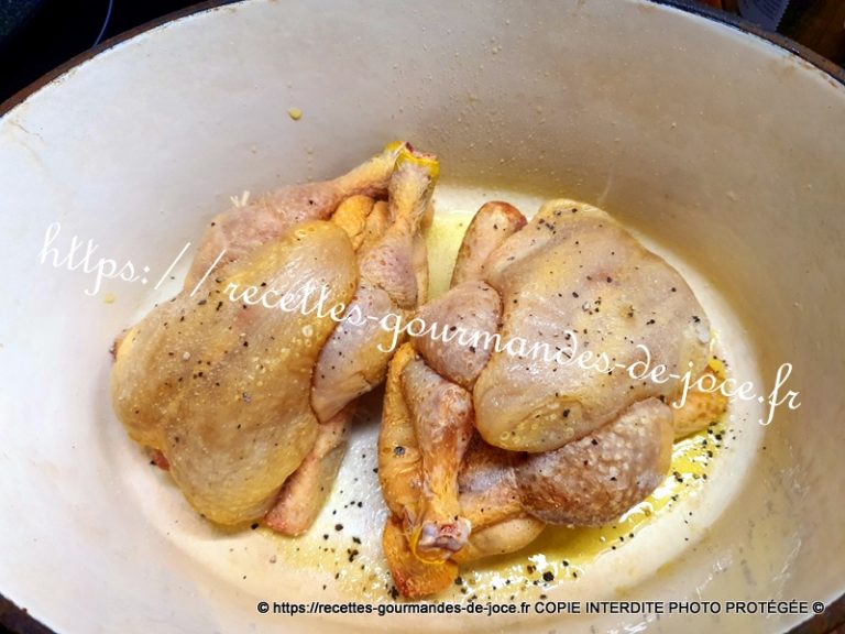 Coquelets épicés mijotés en cocotte aux légumes et pâtes orzo